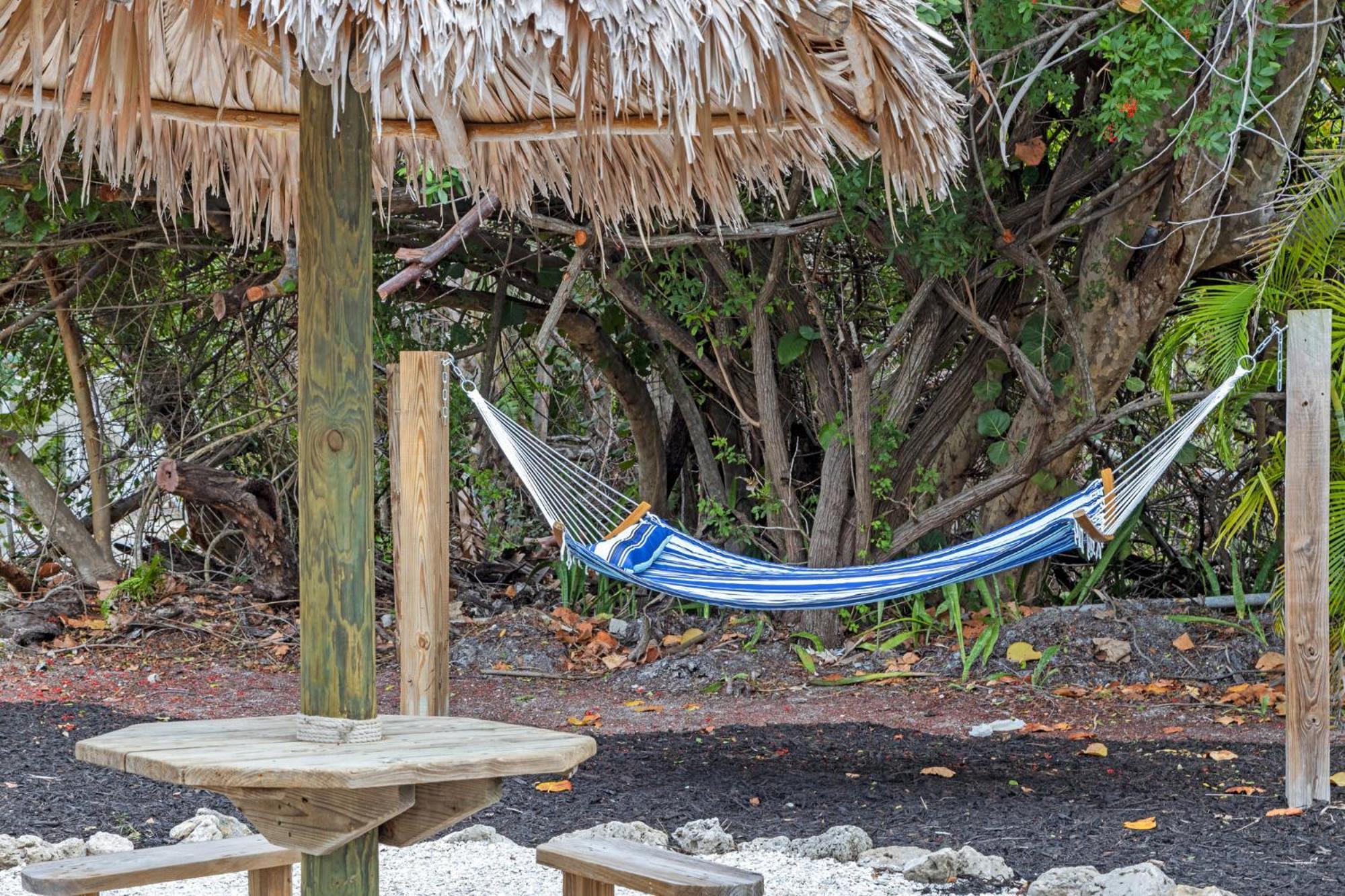 Pirates Cove At Palm View Of With Bikes